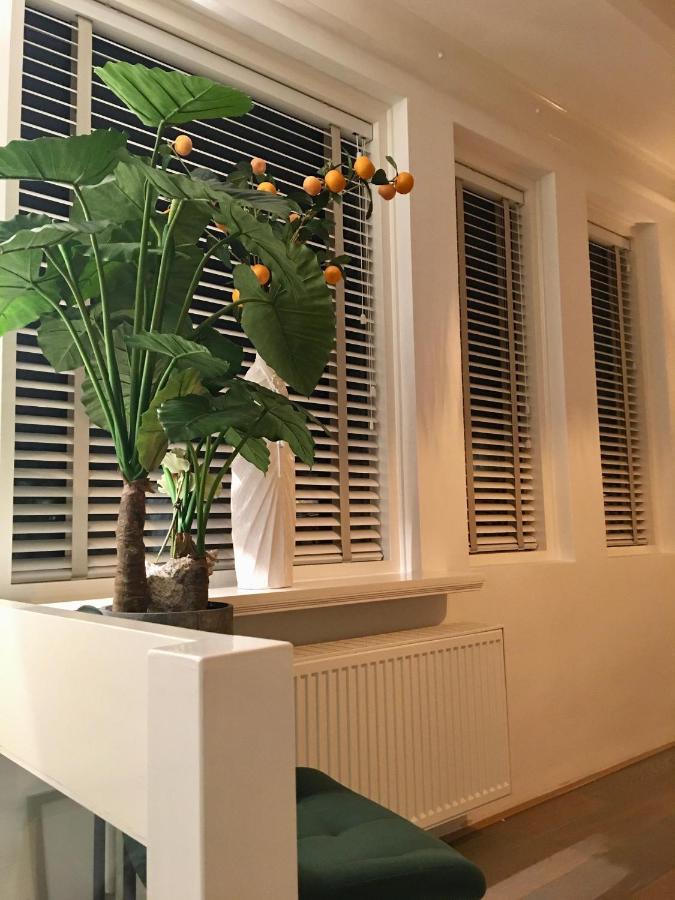 Vakantiehuis De Zeeparel Zandvoort Esterno foto